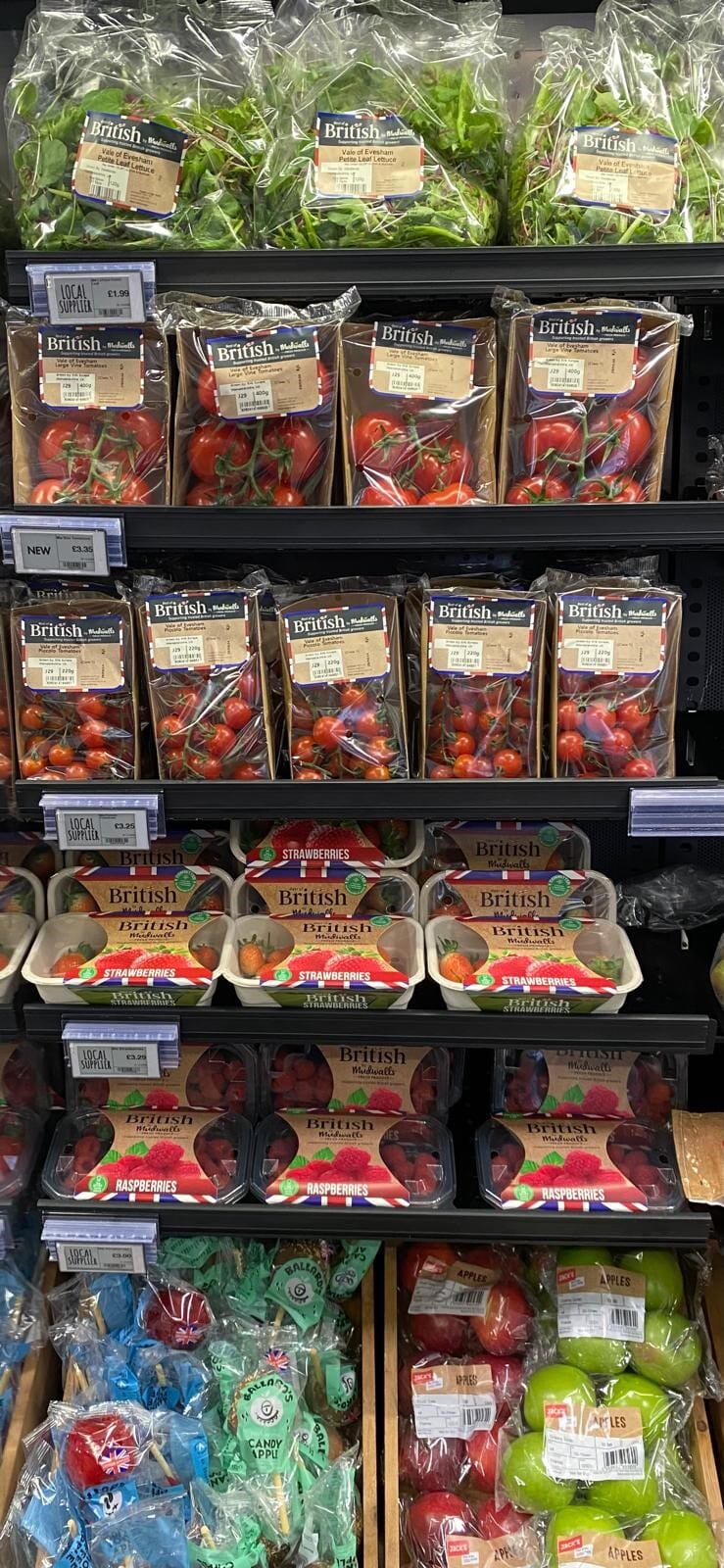 MW-CP.jpg?w=473&h=1024&scale