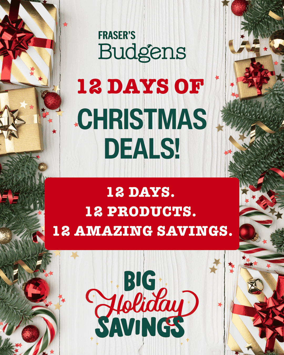 FB-Dec-Post-5-12-days.png?w=819&h=1024&scale